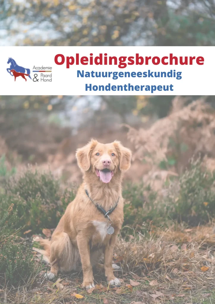 Voorpagina Opleidingsbrochure NH