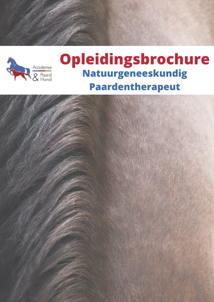 Voorpagina Opleidingsbrochure NP