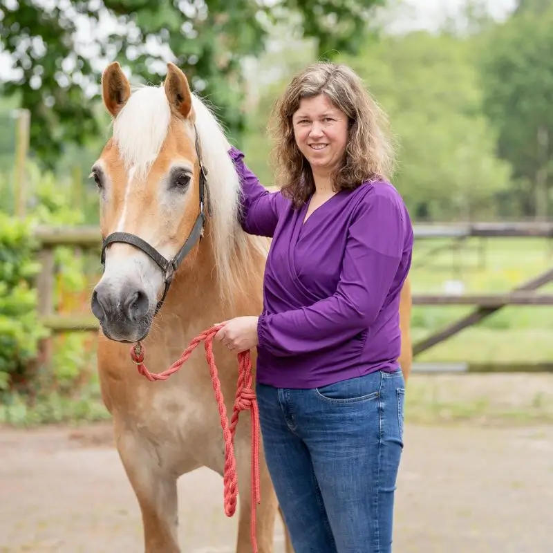 Paard en Hond 3