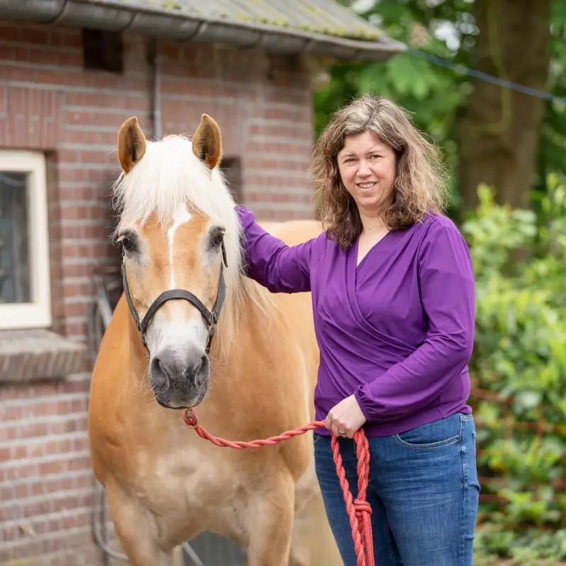 Paard en Hond 4