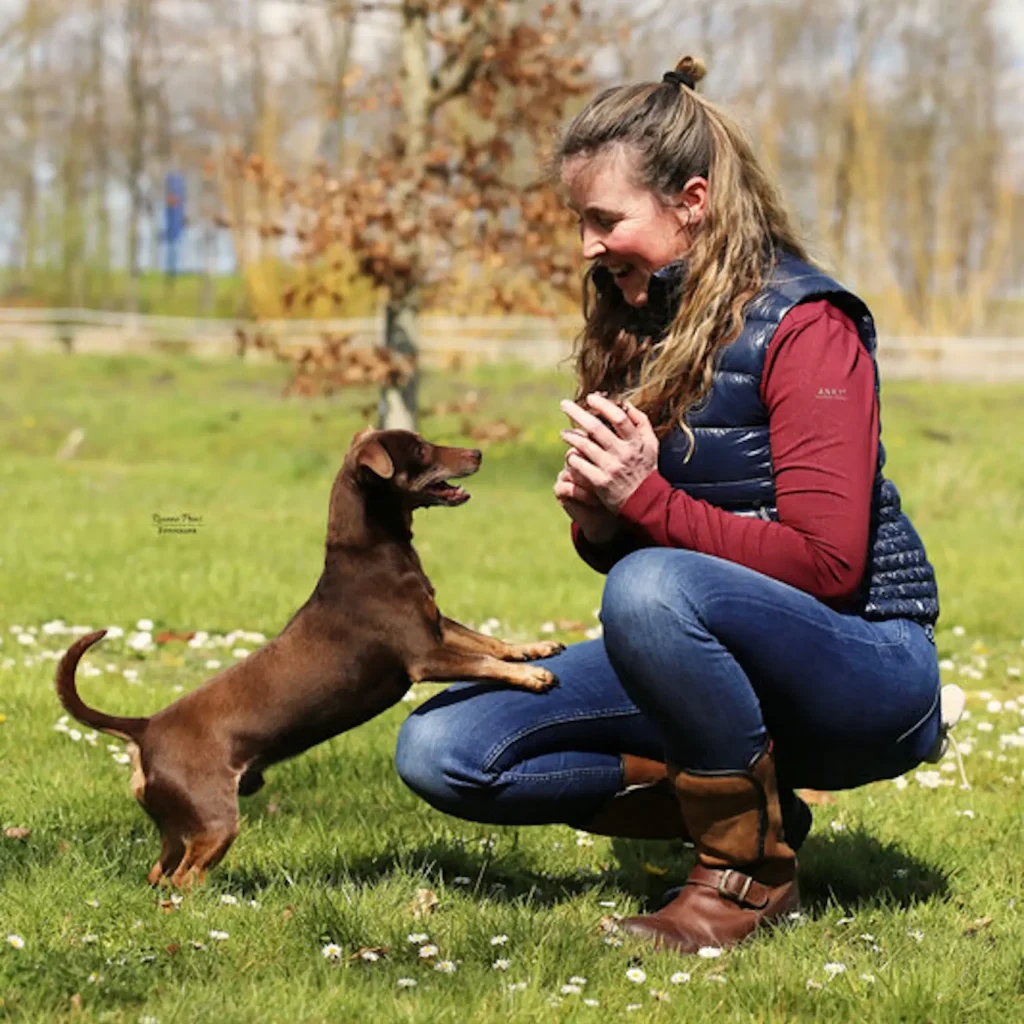 Myofascial Equine Therapist juiste foto voor referenetie Marije Berends e1737035294962