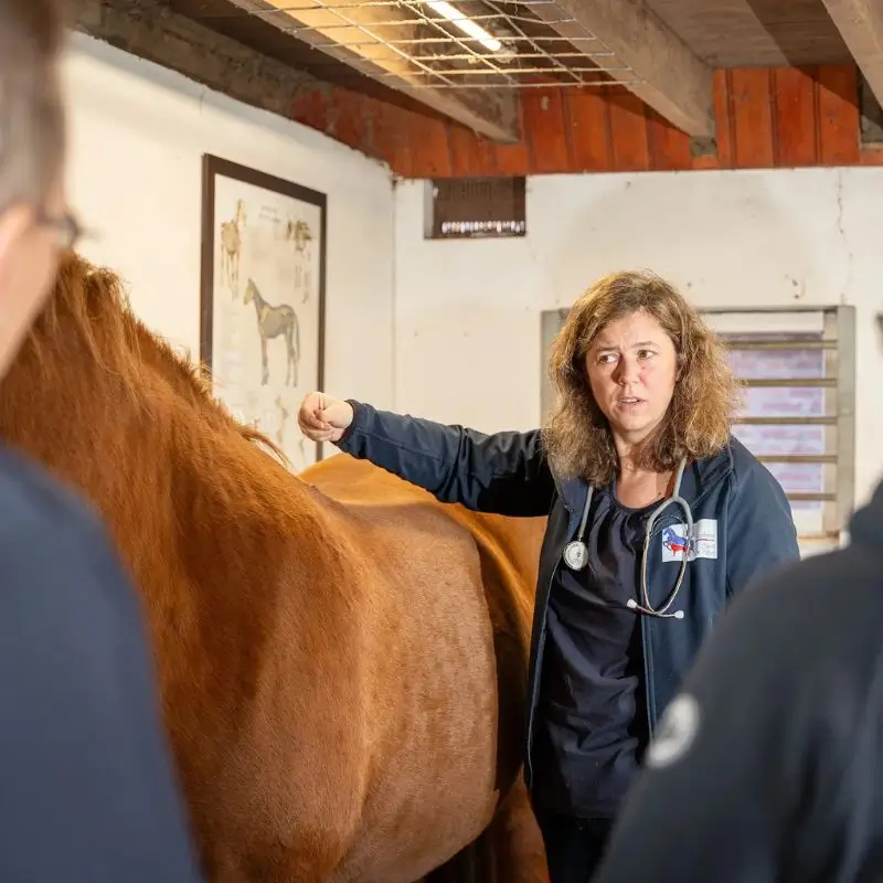 Paard en Hond Over Karin 4