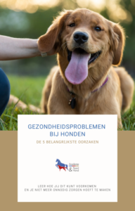 ebook hond nieuw