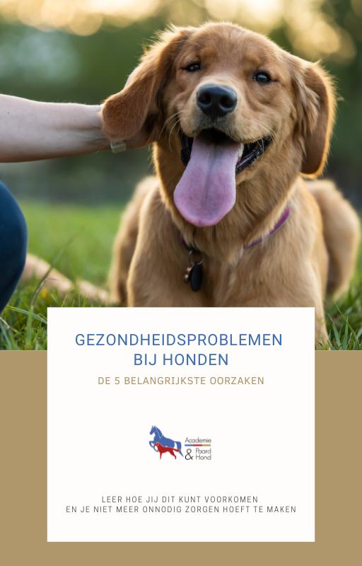ebook hond