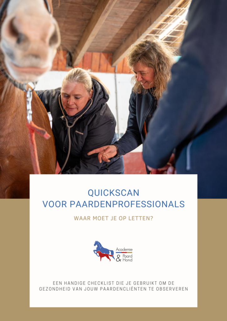 Home 13 Quickscan voor Paardenprofessionals