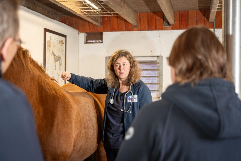 Academie Paard Hond Natuurgeneeskunde 12