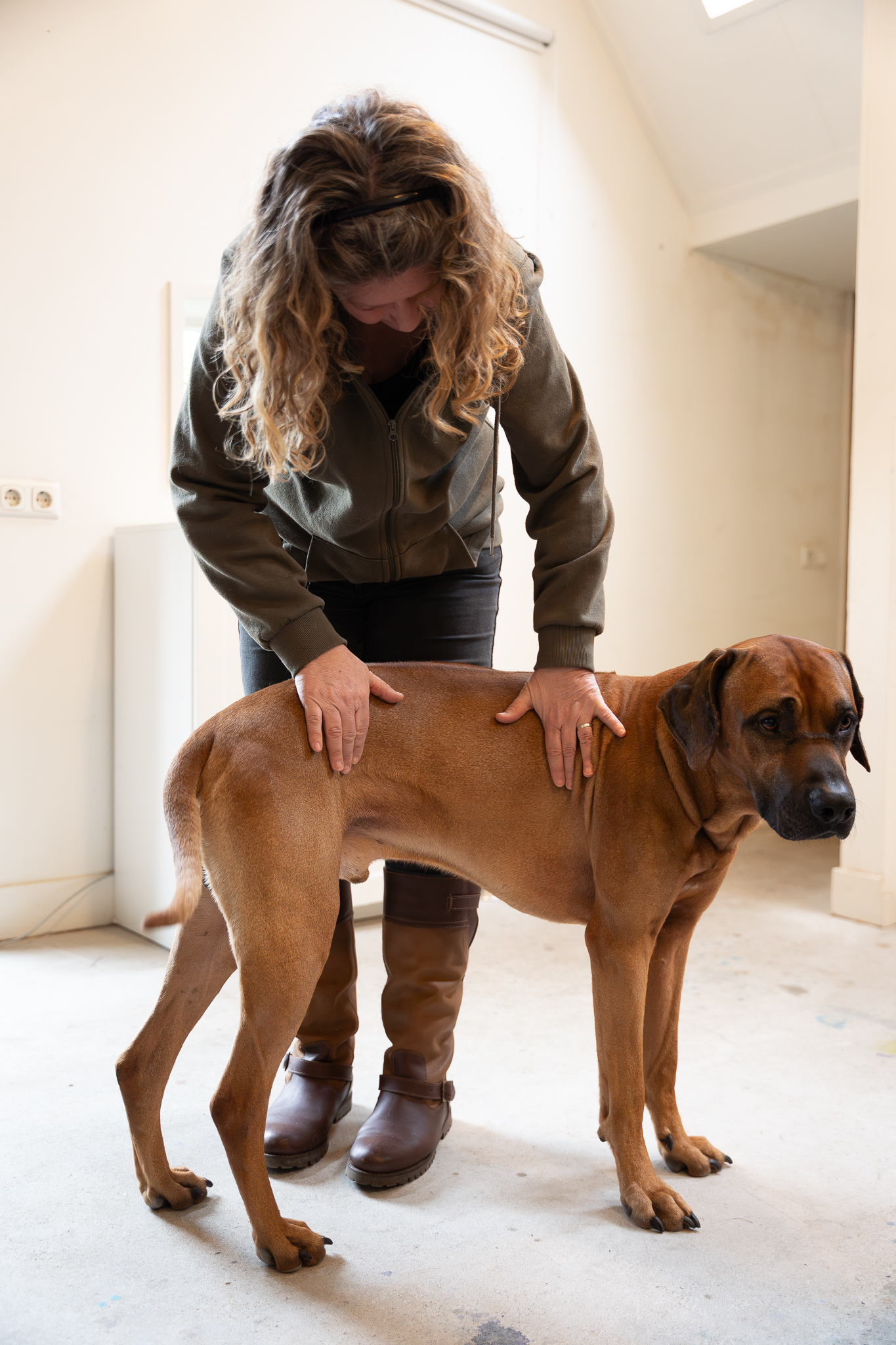 Home 31 A.PaardenHond feb25 DaKo Fotografie web 13